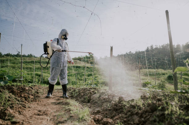 Best Ant Control Services  in Riverside, IL