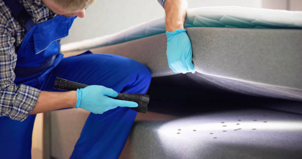 Best Best Pest Control Companies  in Riverside, IL