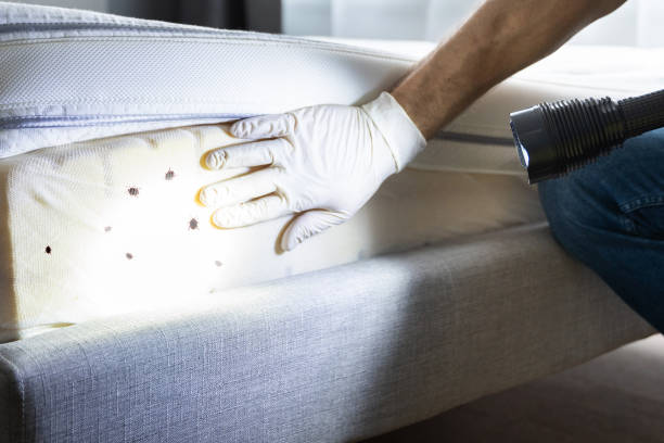 Best Affordable Pest Control Services  in Riverside, IL