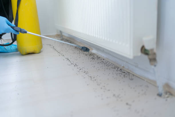 Best Commercial Pest Control Services  in Riverside, IL
