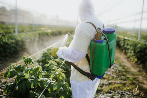 Best Pest Prevention Services  in Riverside, IL